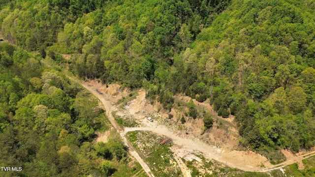 235 Bear Hollow Rd, Bristol, TN 37620 - photo 7