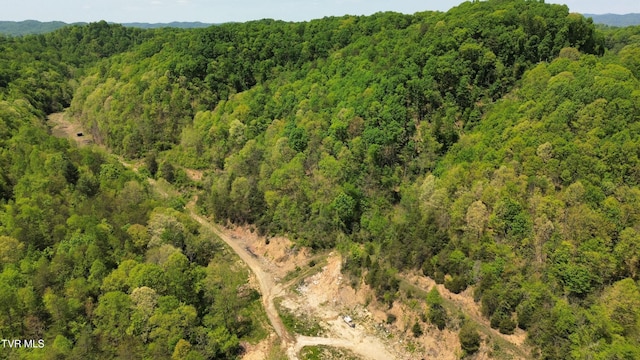 235 Bear Hollow Rd, Bristol, TN 37620 - photo 8