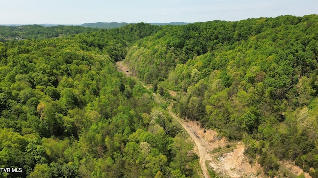 235 Bear Hollow Rd, Bristol, TN 37620 - photo 5