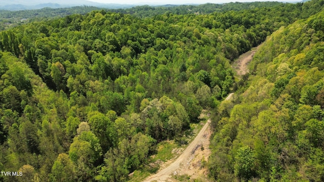 235 Bear Hollow Rd, Bristol, TN 37620 - photo 9