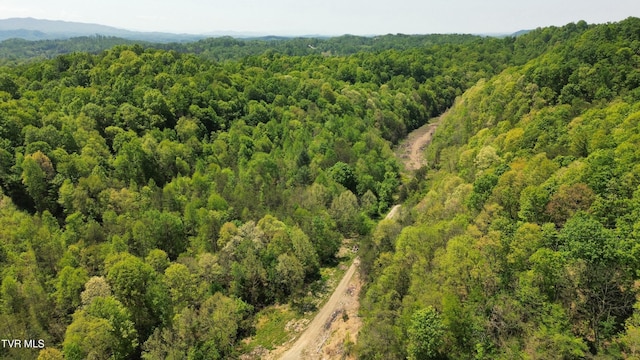 235 Bear Hollow Rd, Bristol, TN 37620 - photo 4