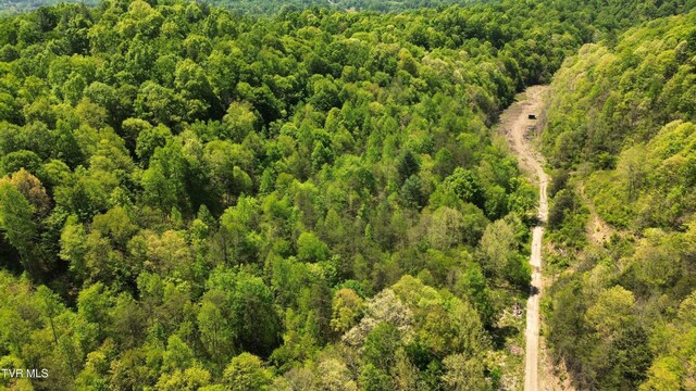 235 Bear Hollow Rd, Bristol, TN 37620 - photo 14