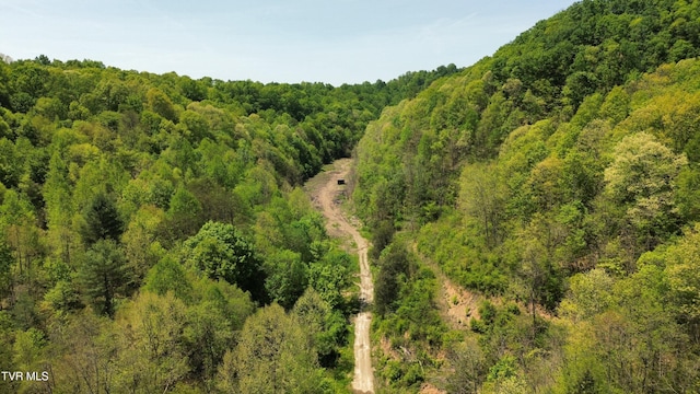235 Bear Hollow Rd, Bristol, TN 37620 - photo 1