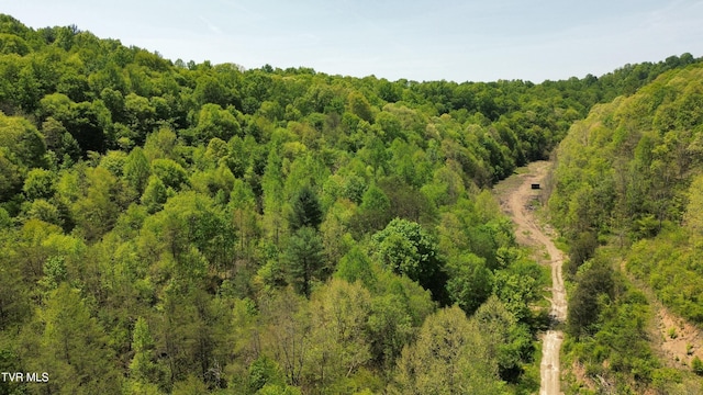 235 Bear Hollow Rd, Bristol, TN 37620 - photo 3