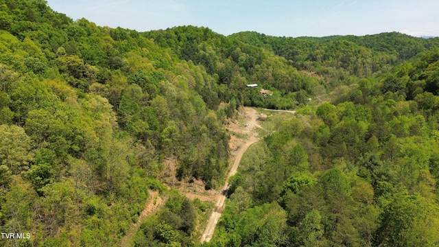 235 Bear Hollow Rd, Bristol, TN 37620 - photo 2