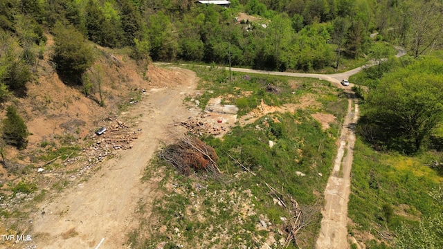 235 Bear Hollow Rd, Bristol, TN 37620 - photo 17