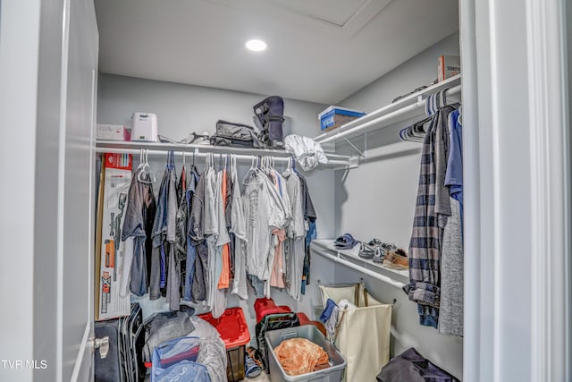 view of spacious closet