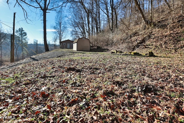 view of yard featuring a shed