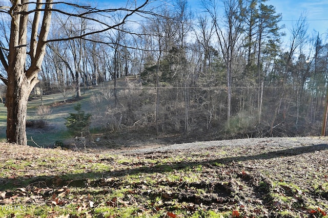 view of local wilderness