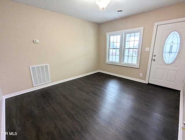 entryway featuring dark wood-type flooring