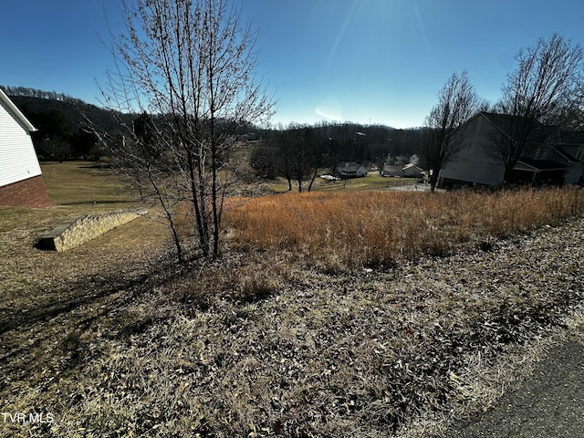 Listing photo 3 for TBD Clearwater Dr, Kingsport TN 37664