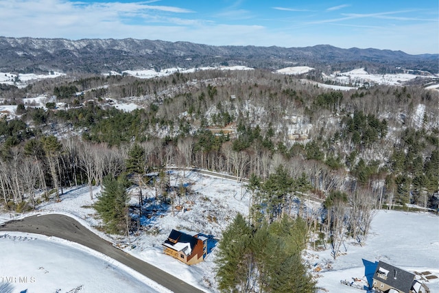 snowy aerial view with a mountain view