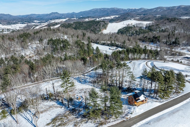 snowy aerial view with a mountain view