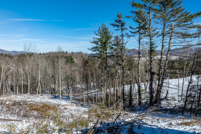 view of snowy landscape