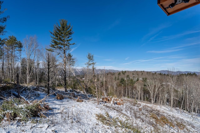 view of snowy landscape