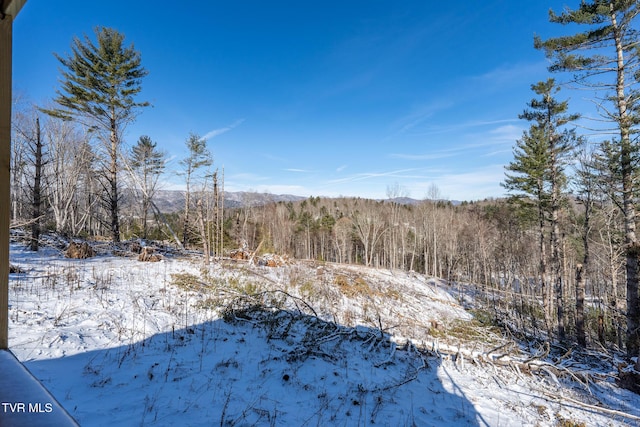 view of snowy landscape