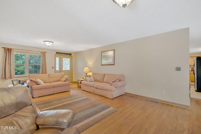 living room with light hardwood / wood-style floors