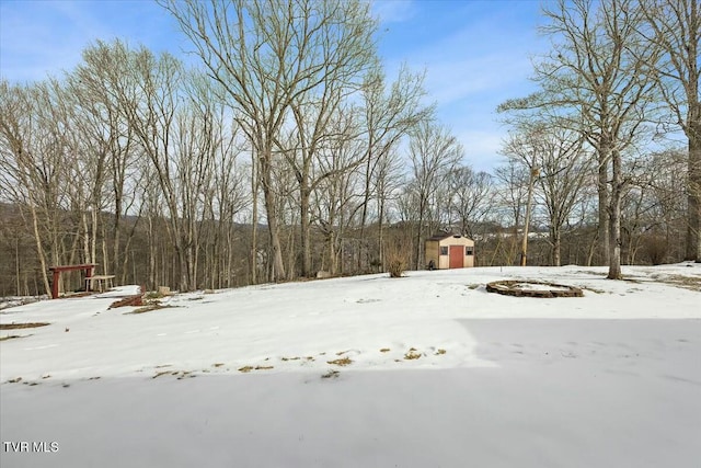 view of yard covered in snow