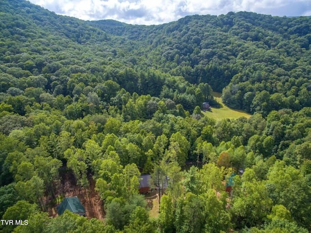 bird's eye view featuring a mountain view