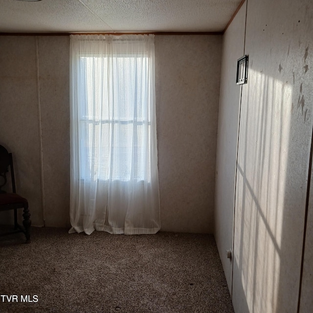 carpeted empty room with crown molding and a textured ceiling