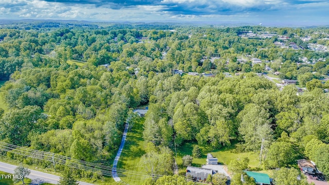 2912 W Walnut St, Johnson City, TN 37604 - birds eye view of property featuring a view of trees