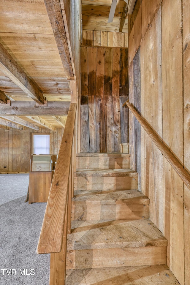 stairs featuring carpet floors, wooden ceiling, beam ceiling, and wood walls