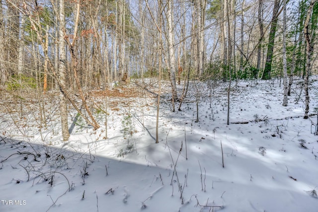 view of snowy landscape