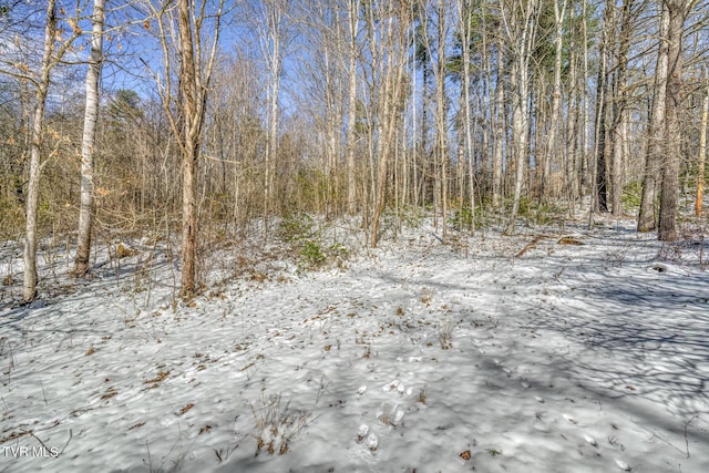 view of snow covered land