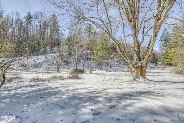 view of yard covered in snow