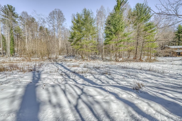 view of snowy yard