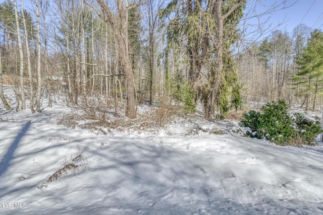 view of snow covered land