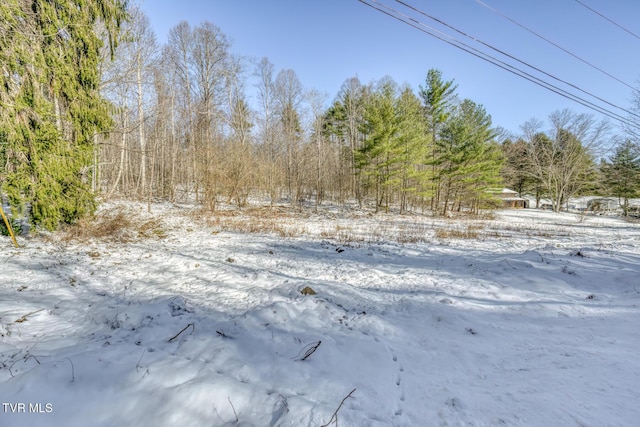 view of snowy landscape