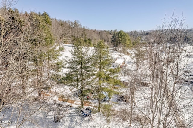 view of snowy landscape