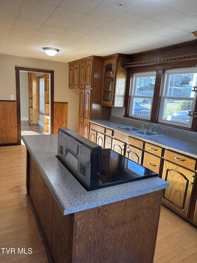 kitchen with sink, light wood-type flooring, and wood walls