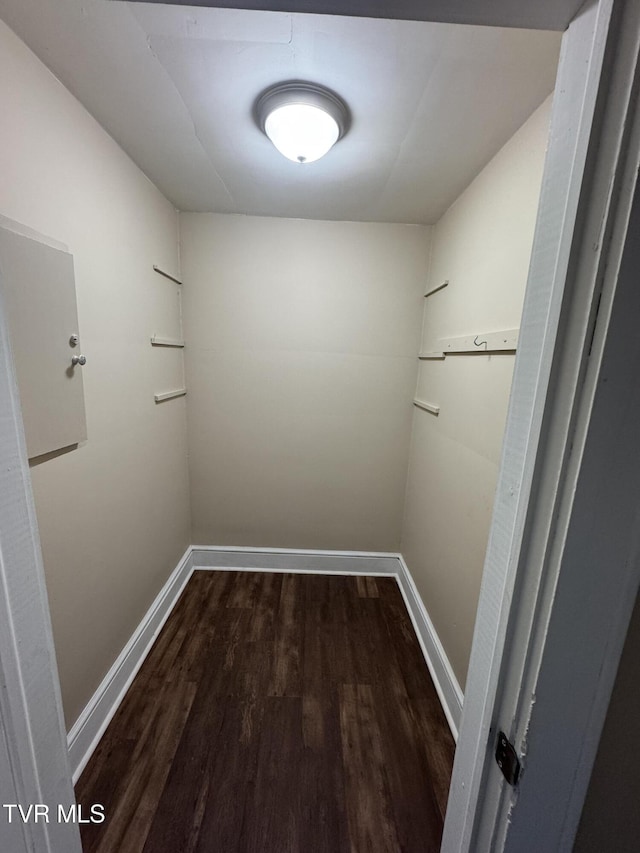 walk in closet featuring dark hardwood / wood-style flooring