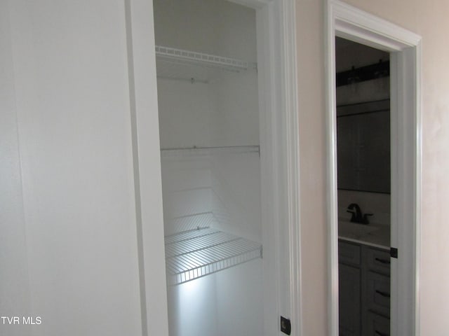 closet with a sink
