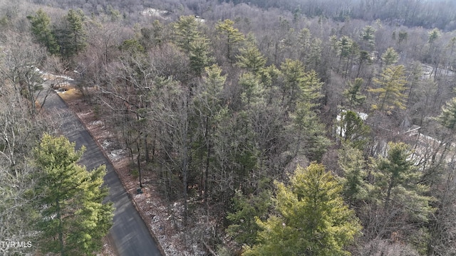 TR31 Mountain Laurel Ct, Unicoi TN, 37692 land for sale