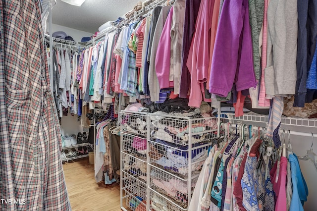 spacious closet with light wood-type flooring