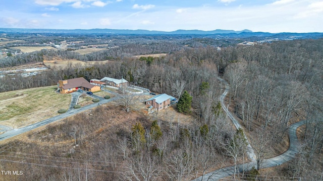 birds eye view of property featuring a mountain view