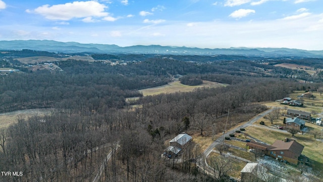 birds eye view of property featuring a mountain view