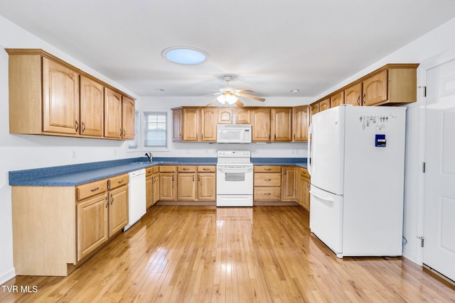 kitchen featuring ceiling fan, sink, white appliances, and light hardwood / wood-style floors