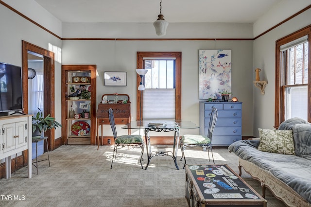 view of carpeted living room