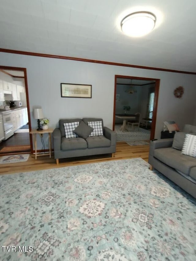 living room with crown molding and wood-type flooring