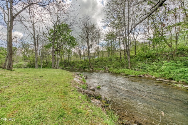 112 Conns Dr, Tazewell, VA 24651 - view of yard
