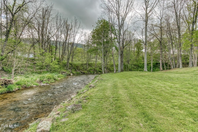 112 Conns Dr, Tazewell, VA 24651 - view of yard