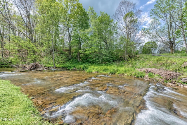 112 Conns Dr, Tazewell, VA 24651 - view of nature