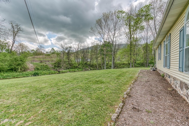 112 Conns Dr, Tazewell, VA 24651 - view of yard