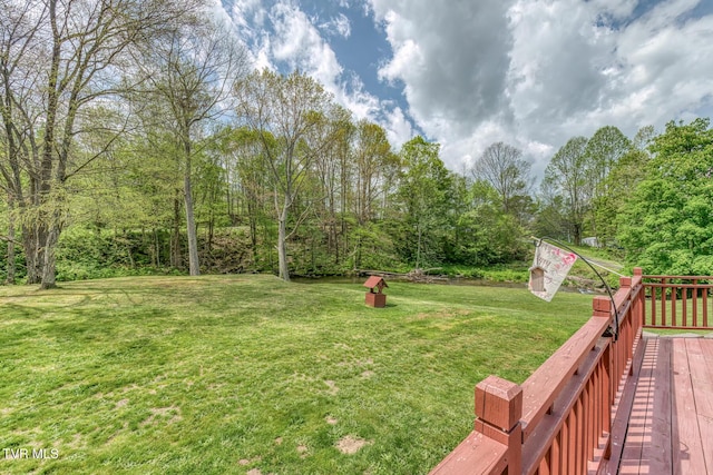 112 Conns Dr, Tazewell, VA 24651 - view of yard