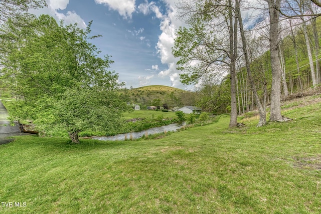 112 Conns Dr, Tazewell, VA 24651 - view of yard with a mountain view