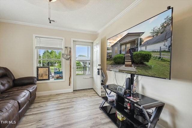 living room with ornamental molding, light hardwood / wood-style floors, and a textured ceiling